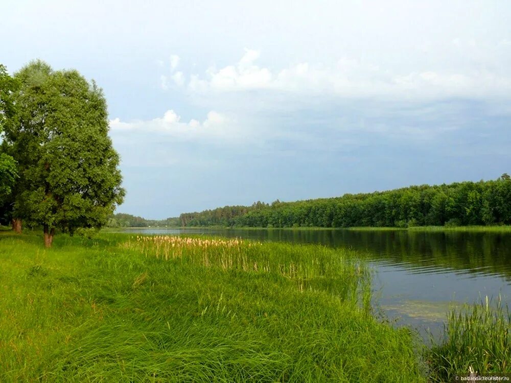 Природа Марий Эл Марий Эл. Лес Марий Эл. Советский Марий Эл природа. Пейзажи Республики Марий Эл. Березка марий эл