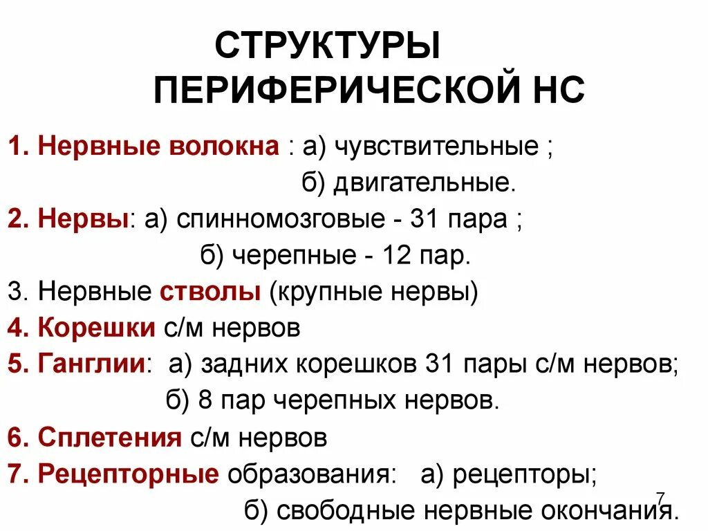 Периферический нерв функции. Периферическая НС строение функции. Структура периферической НС. Структуры периферической нервной системы. Структоура перифиоической нервной система.