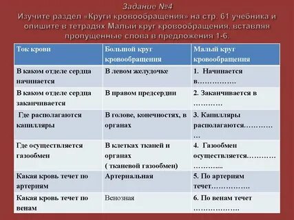 Таблица кровообращения