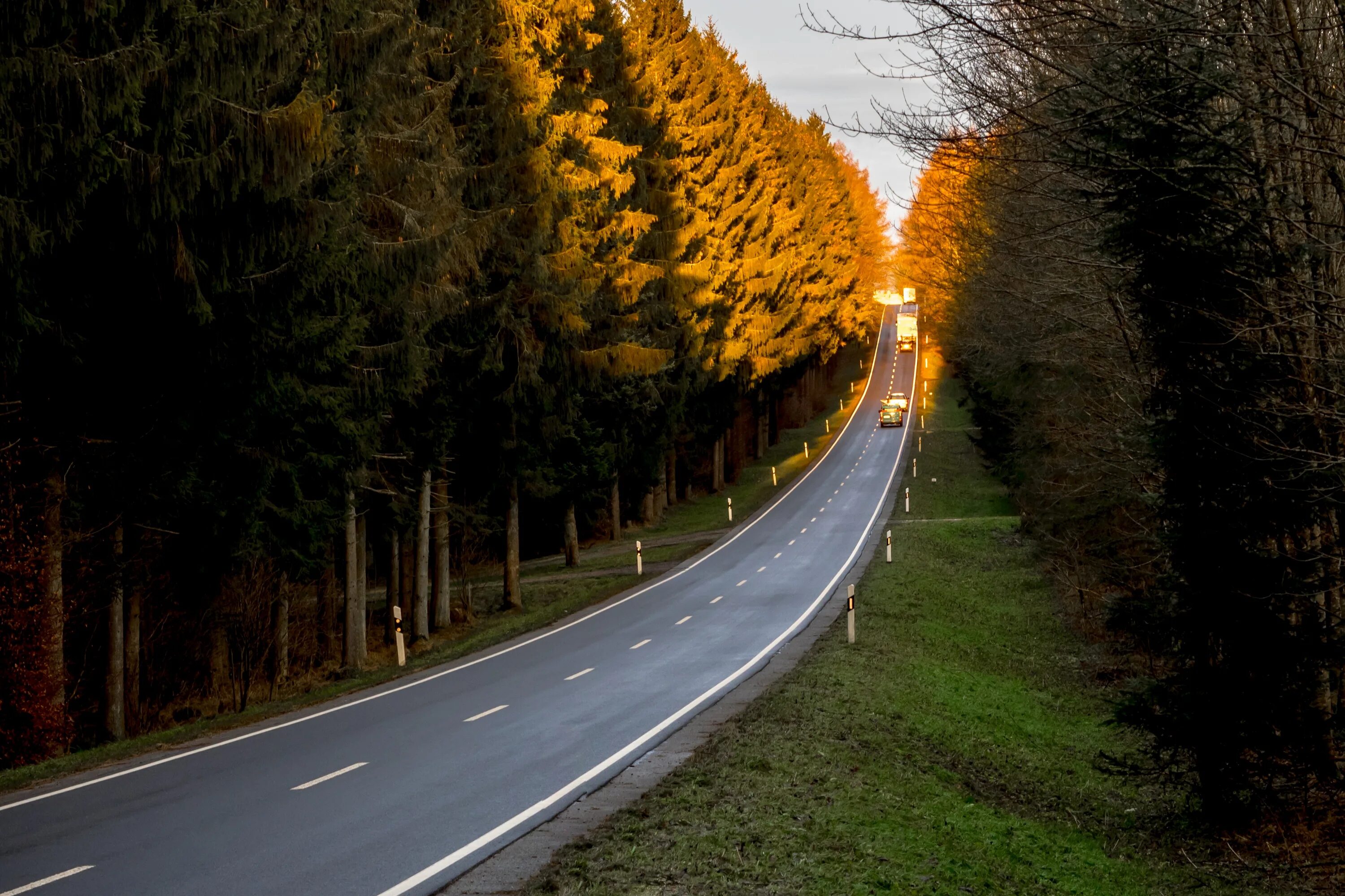 U roads. Красивая дорога. Дорога в лесу. Красивый вид дороги. Трасса с лесом.