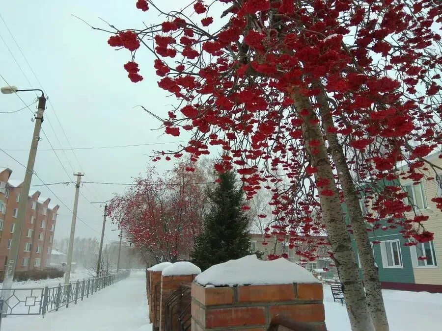 Погода в бердске. Бердск зимой. Зима в Бердске холодная. Фото город Бердск зима лето.