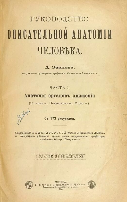 Д зернов. Зернов анатомия. н. е. зернов. профессор в.д. зёрнова.
