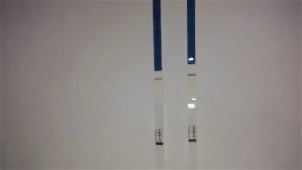 Полоска теста 5 недель