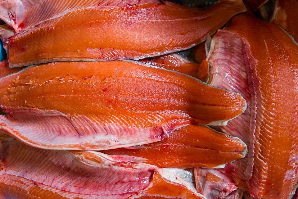 Желтая рыба сарапул. Горячее копчение осетрина. Завод ника сарапул. Желтая рыба сарапул. Золотая тетра вяленая рыба бренд.