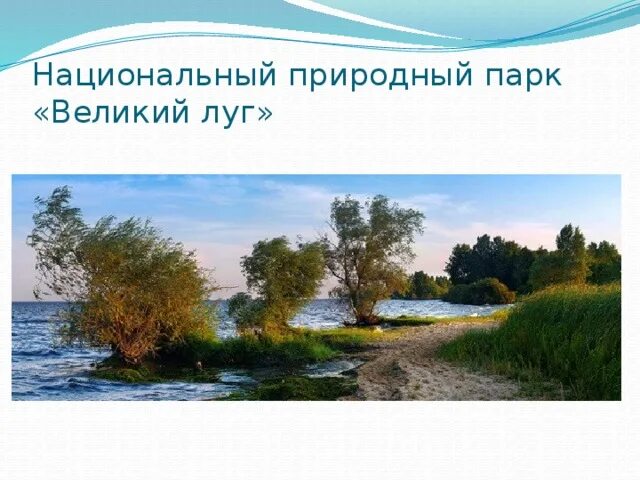 Великий луг история. Великий луг (национальный парк). Великий луг днепр запорожье. Великий луг каховское водохранилище. Великий луг.