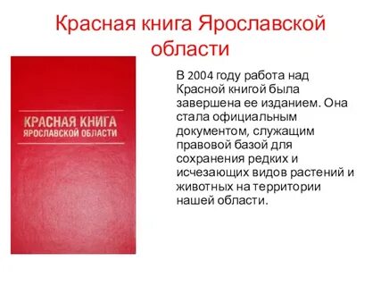 Маленькая красная книга