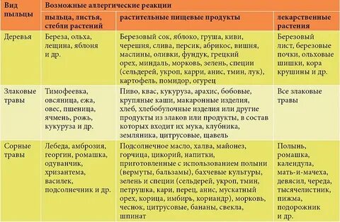 Фрукты при аллергии на березу какие можно