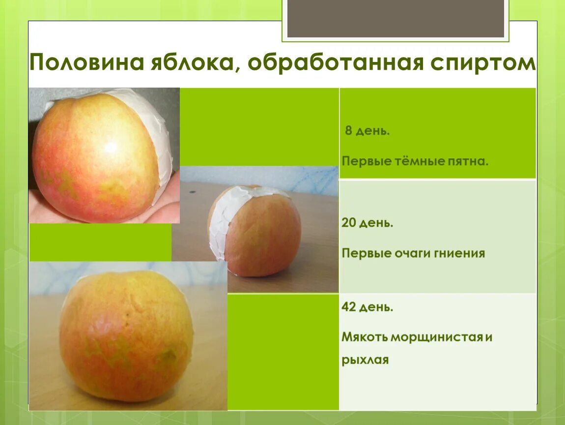 Этапы обработки яблок