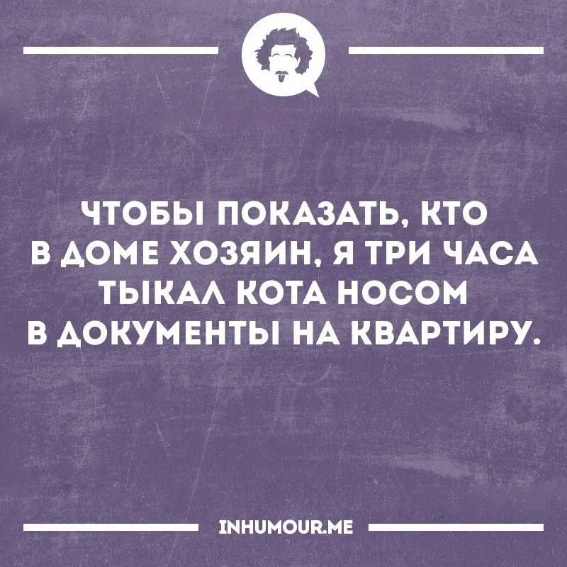 Где твой мужчина. Тыкал кота носом в документы на квартиру. Воспоминания юмор. Если твой мужчина. Если девушка не афиширует ваши отношения в соц.