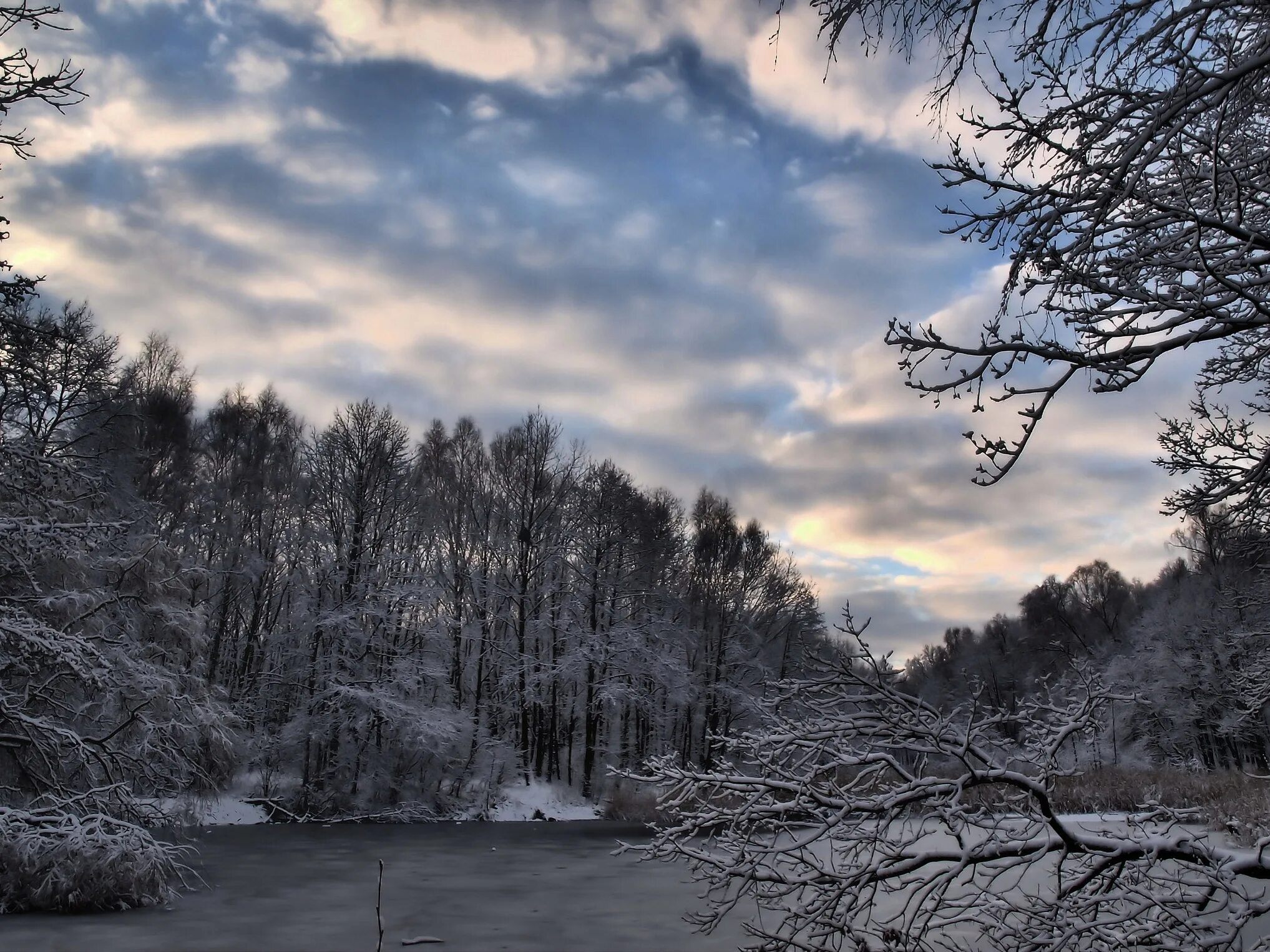 Полна тайн хмурая тишина зимнего. Мрачная зима. Мрачный зимний пейзаж. Пасмурная зима. Зимняя природа.