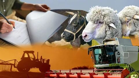 Порно орыс лесбиянка еріксіз жалап