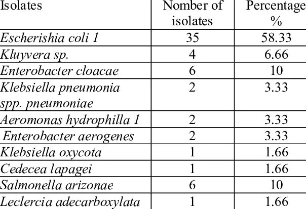 Enterobacter cloacae что это. Энтеробактер cloacae. энтеробактерии антибиотики. энтеробактерии в мазке у женщин норма. энтеробактер cloacae в зеве норма.