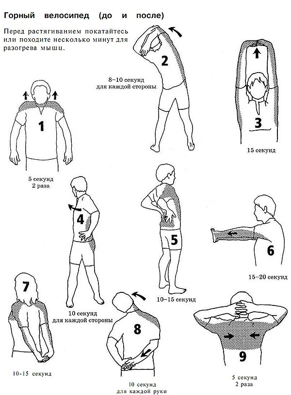 Разминка перед нагрузкой. Схема разминки перед тренировкой. Комплекс упражнений для разминки перед тренировкой таблица. Упражнения для разминки спины перед тренировкой. Упражнения для разогрева мышц перед тренировкой.