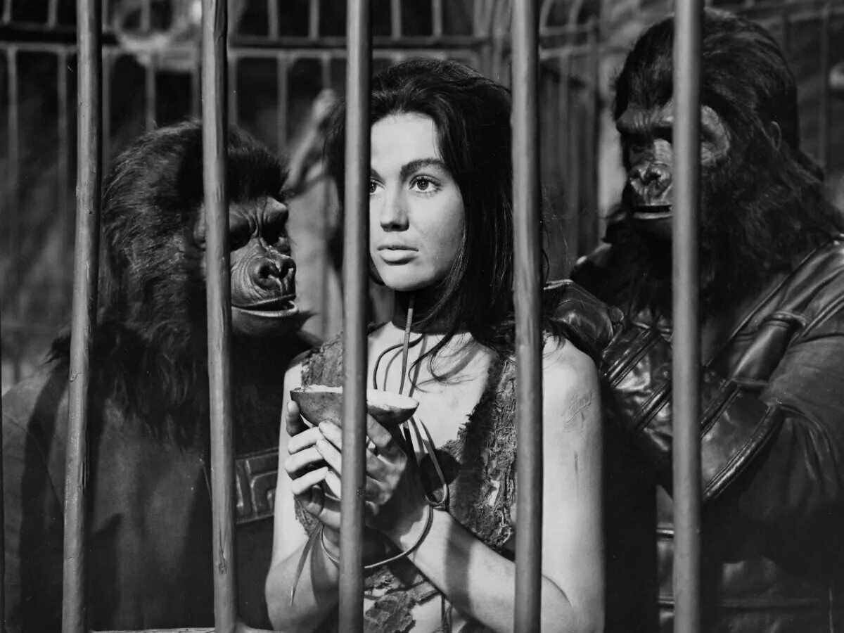 планета обезьян фильм 1968. нова планета обезьян 1968. планета обезьян 1968. планета обезьян 1967. планета обезьян 1967.