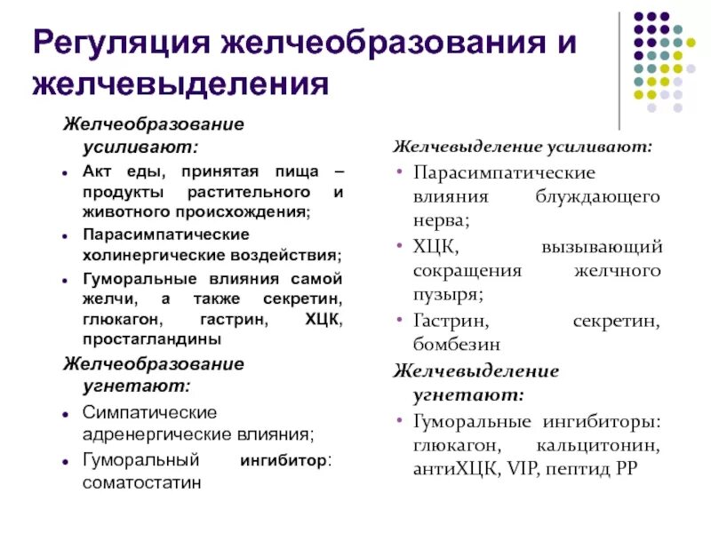 Регуляция желчеобразования и желчевыделения. Регуляция выработки желчи.