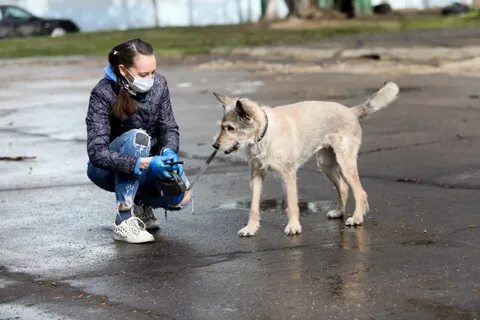 Питомцы в москве
