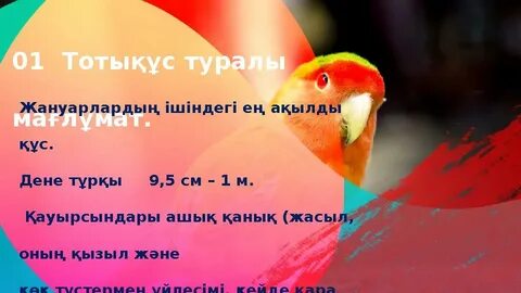 Бэтмен порно ойыны