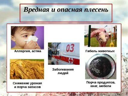 Опасные заболевания для жизни человека