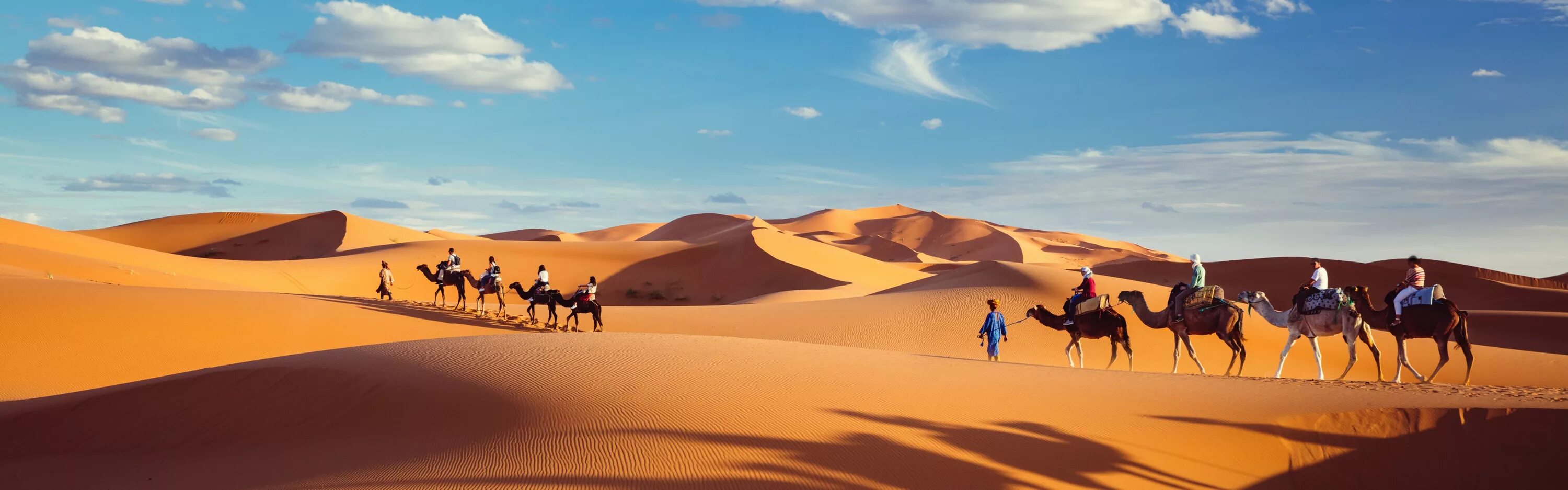 Караван в пустыне. Верблюды Караван. Пустыня Караван Оазис. Караван панорама. Небо караван