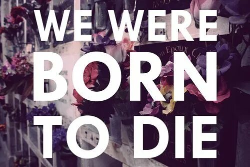 I was born to перевод. We were born to die. lana del rey we were born to die. born to die надпись. born to die текст.