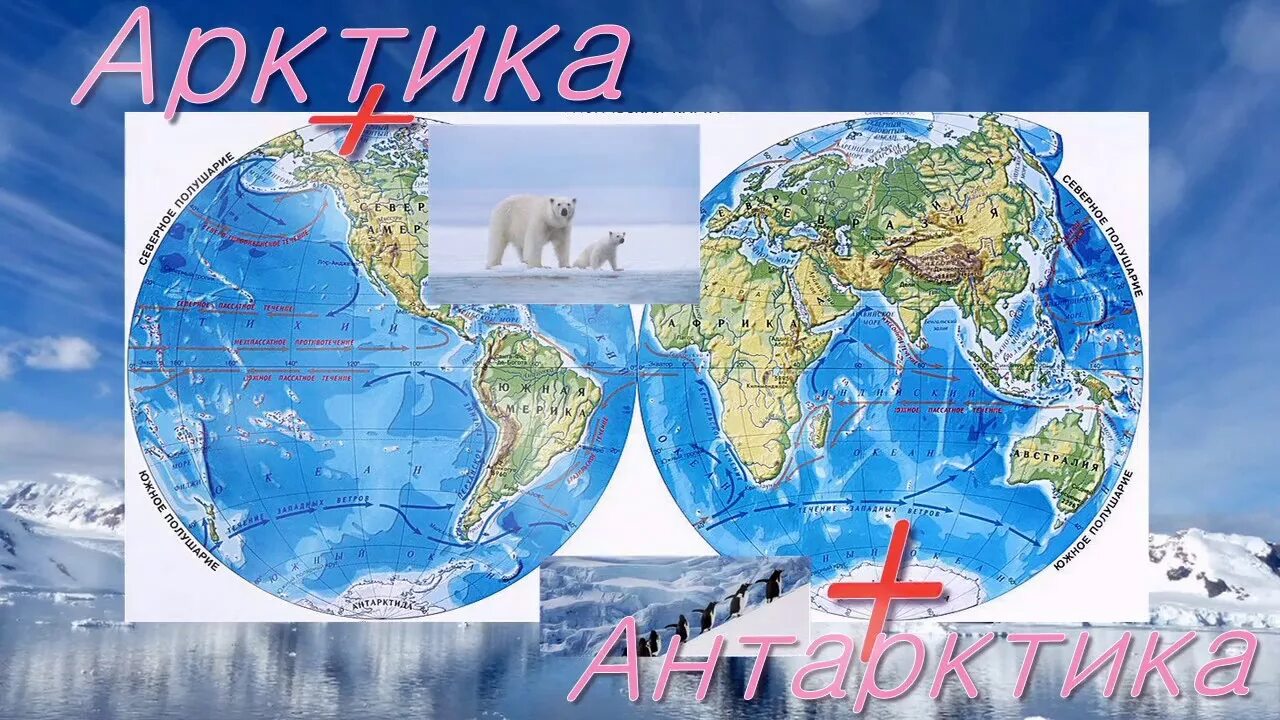 Арктика и Антарктида. Арктика и Антарктида на карте. Арктика на глобусе для детей.