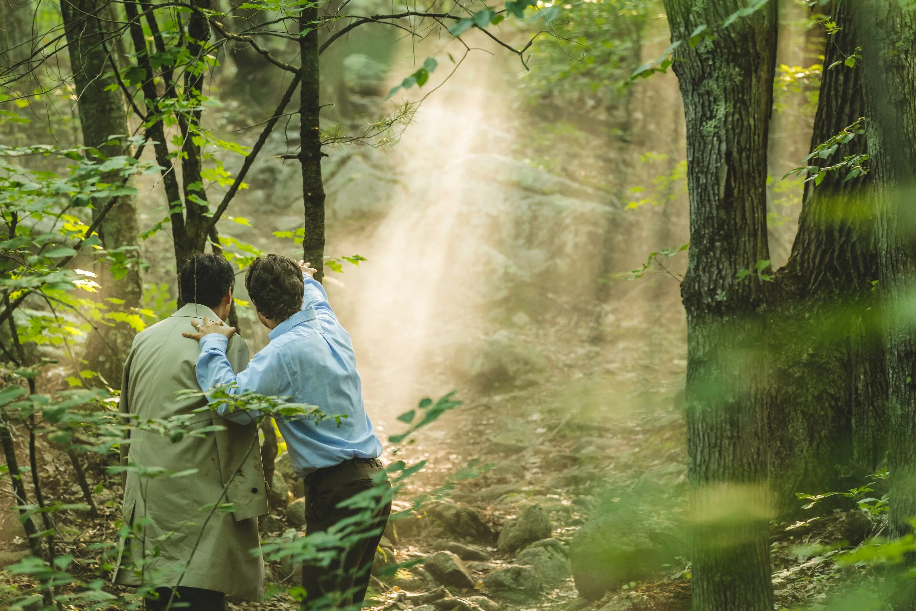 В лесу 2015. Лес самоубийц (the Sea of Trees) 2015.