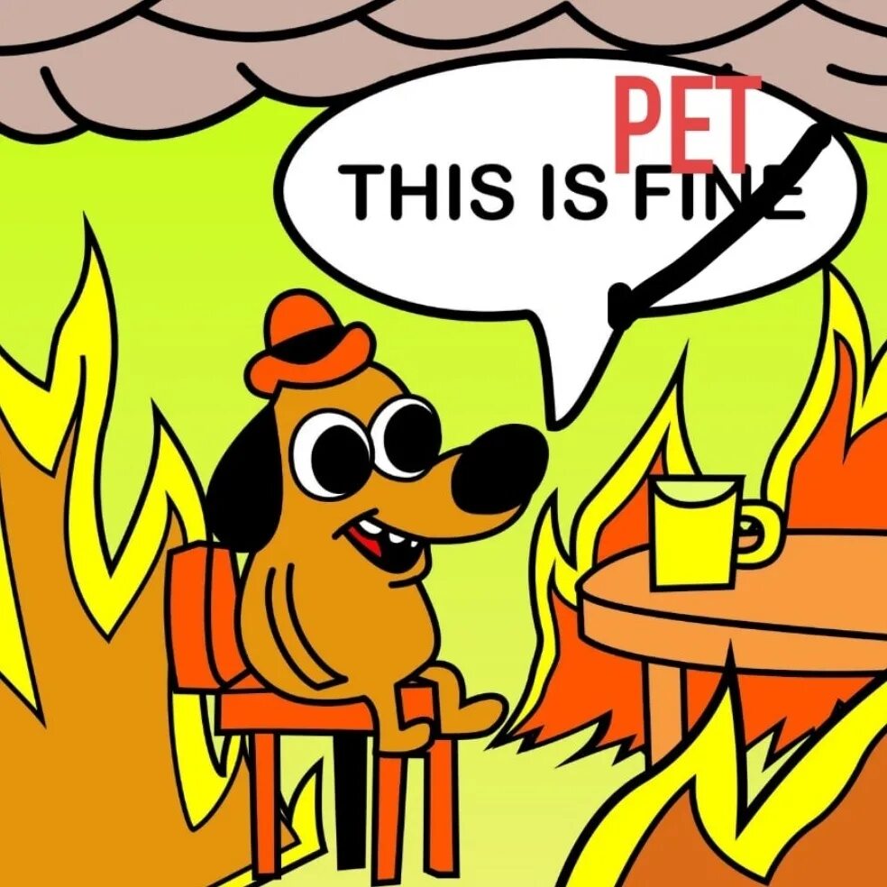 If the day is fine. If the day is fine