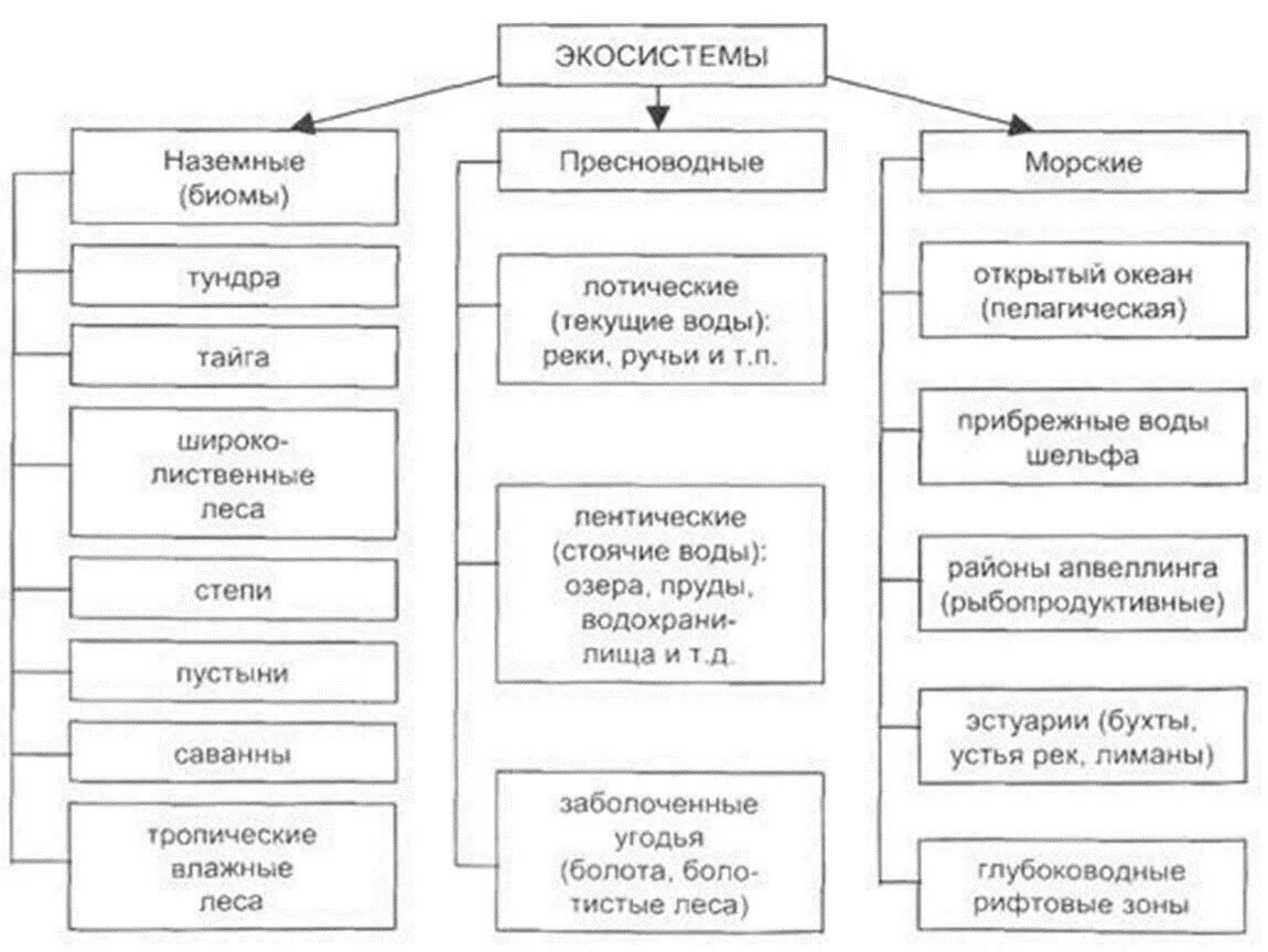 Схема классификации биомов. Составьте схему классификация биомов. Составить схему типы экосистем. Классификация экосистем схема с примерами. Природные экосистемы 11 класс