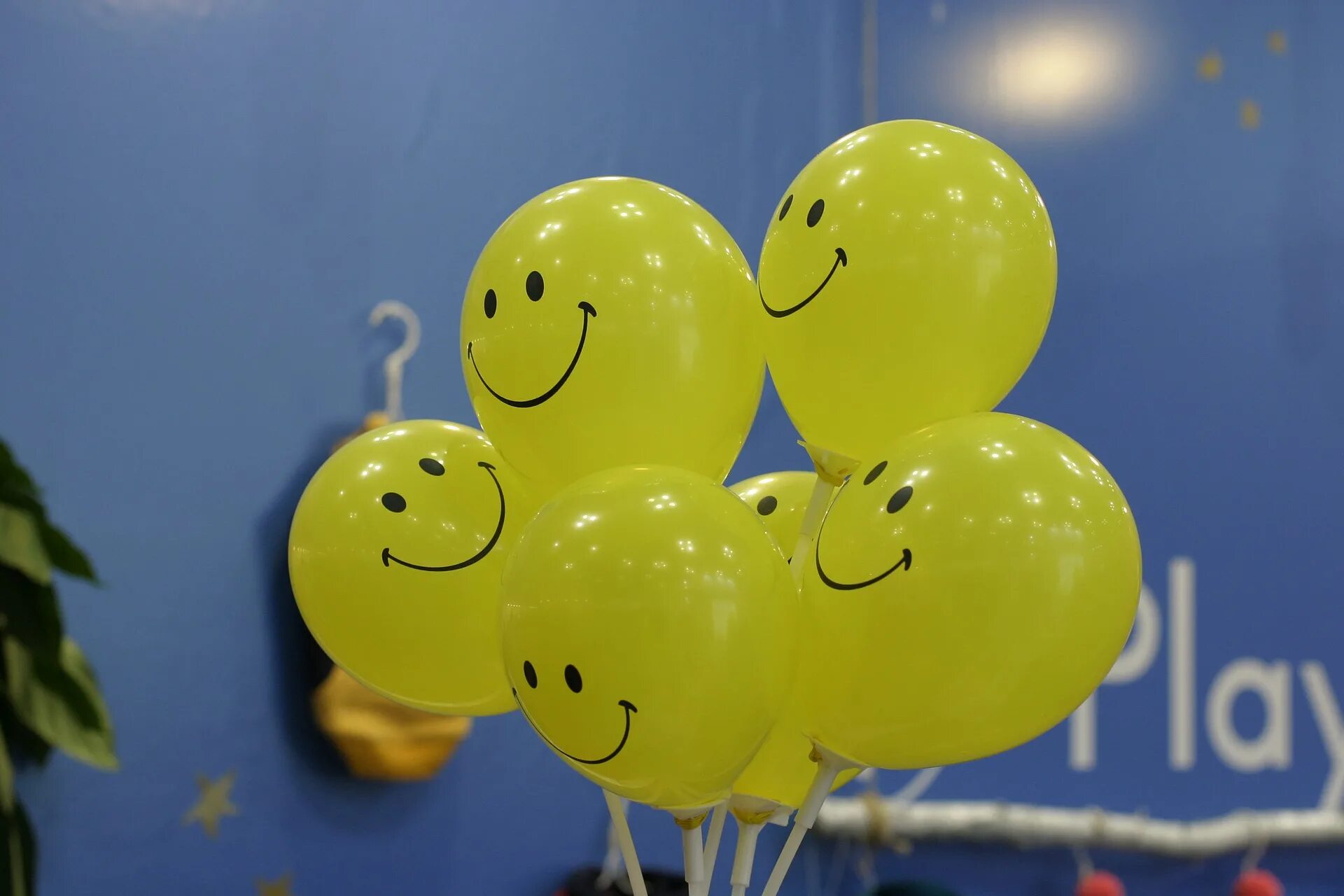 Улыбка шаров. Шарик с улыбкой. Шарик улыбается. Воздушный жёлтый шар с улыбкой. Воздушный шар с улыбкой.