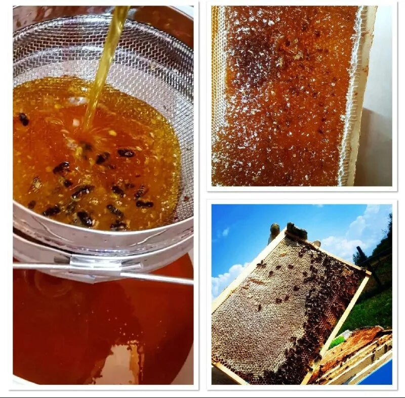 магазин престиж рассказово фабричный. правильная корзинка фото магазина. ооо янтарь г. тамбовская область город рассказово улица гагарина магазин буратино. улица гагарина рассказово.