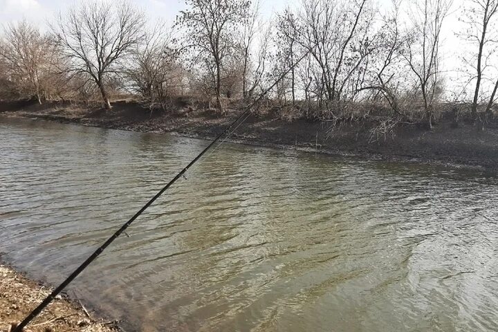 Вода в реке астрахань. Новоначалово Астрахань. Река Бахтемир Астраханская область. Река Астраханка. Река Николаевская вобла.