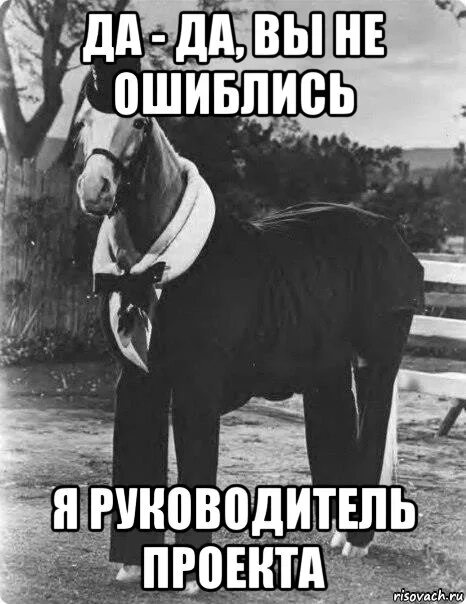 Мемы про дедлайн. Руководитель проекта мем. Проект мем. Шутки про проекты. Сдача проекта прикол.