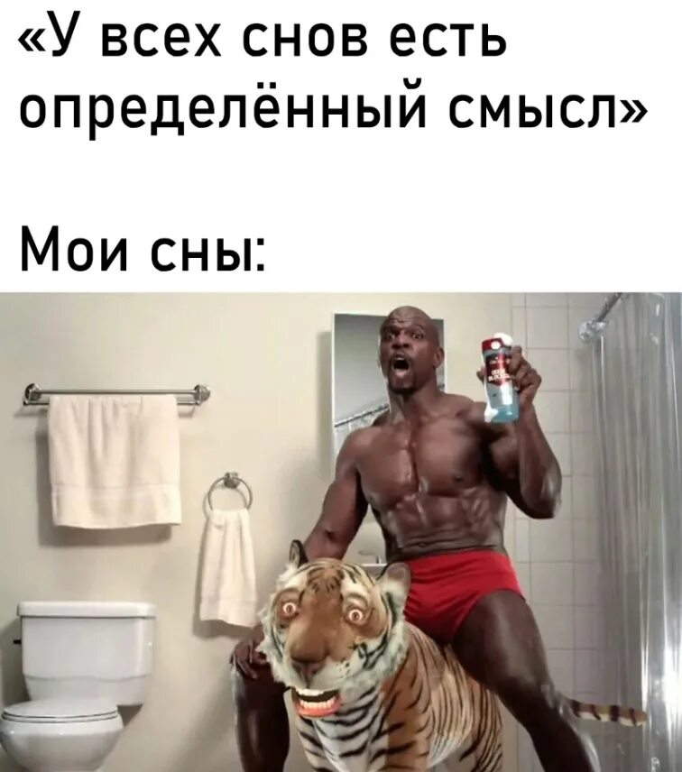 Какой тут смысл. Какой тут смысл