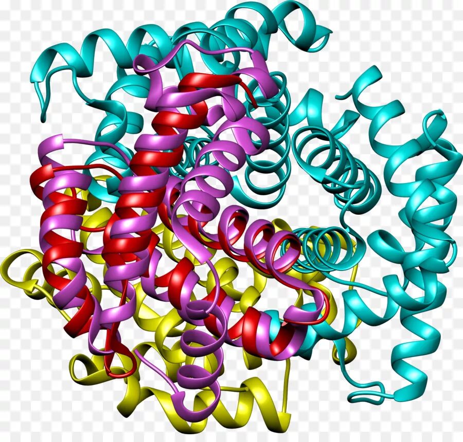 Белковый элемент. Молекула гемоглобина. Молекула гемоглобина 3д. Гемоглобин это глобулярный белок. Гемоглобин a1c.