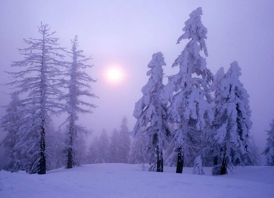 Стих вот север тучи нагоняя пушкин. Вот север тучи нагоняя пушкин. Север тучи нагоняя. Александр пушкин — волшебница-зима. Стих вот север тучи.