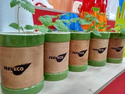 Экологическая упаковка