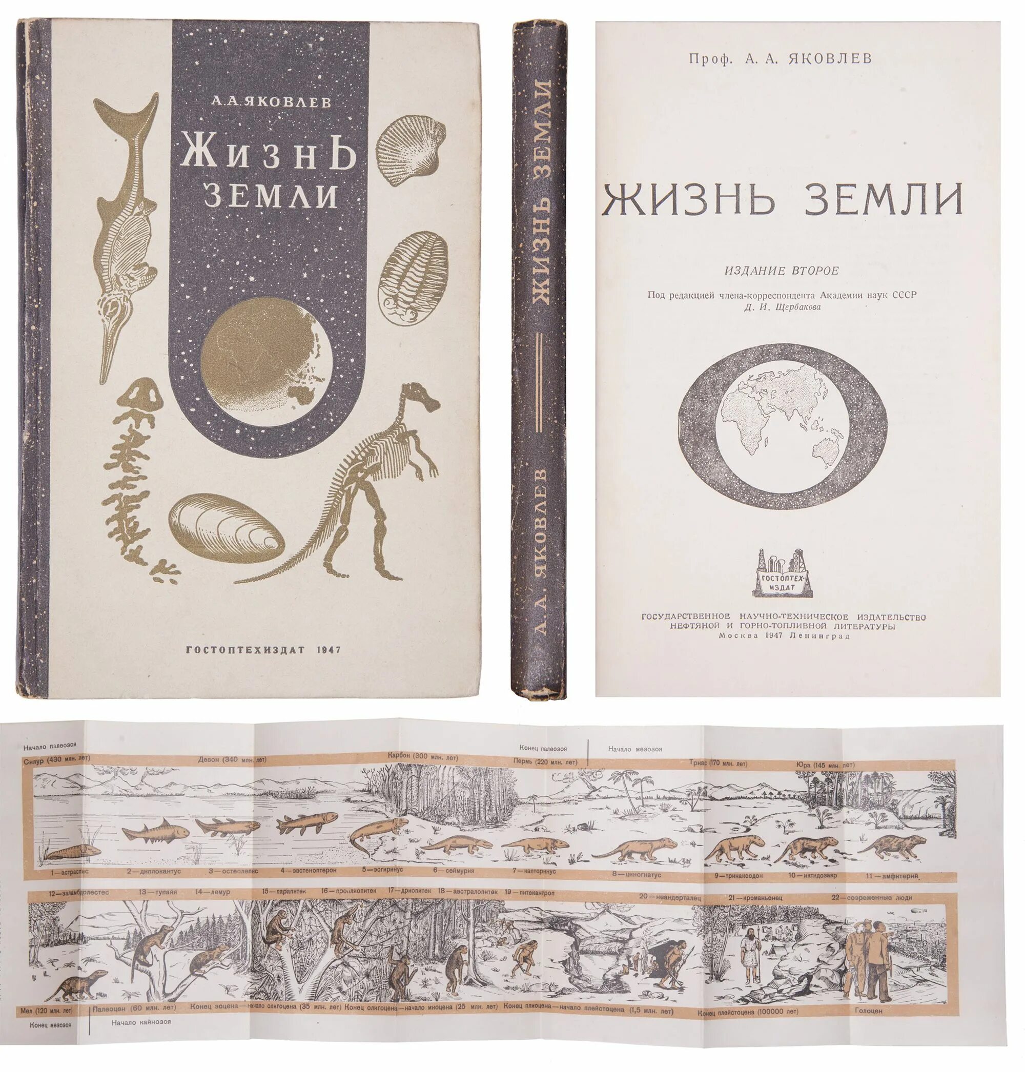 история жизни на земле. книга география для детей. жизнь земли физическая география и рельеф планеты. ананьева е. история земли и жизни на ней книга.