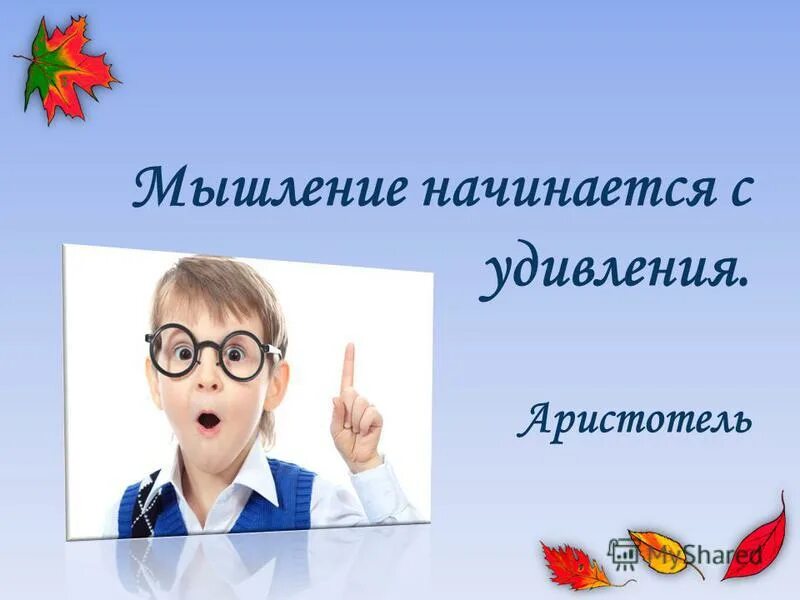 Урок удивления. Мышление начинается с удивления. Педагогика удивления. Наука начинается с удивления. Удивление на уроке.