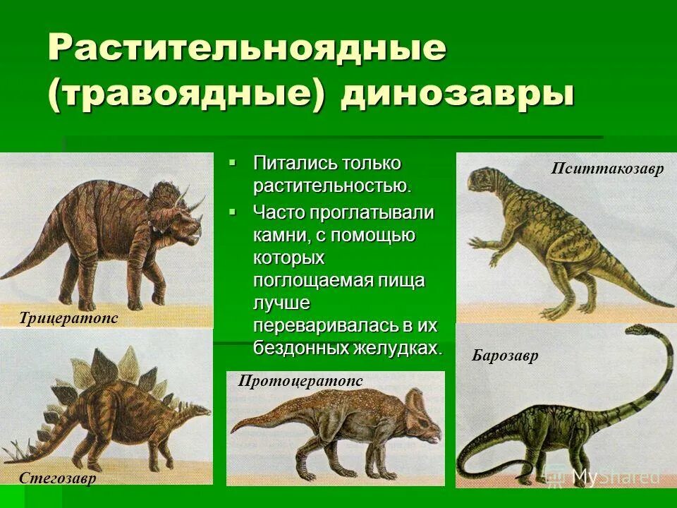 Какой 1 динозавр. Динозавры названия. Динозавры плотоядные и травоядные. Хищные динозавры названия. Название всех динозавров.