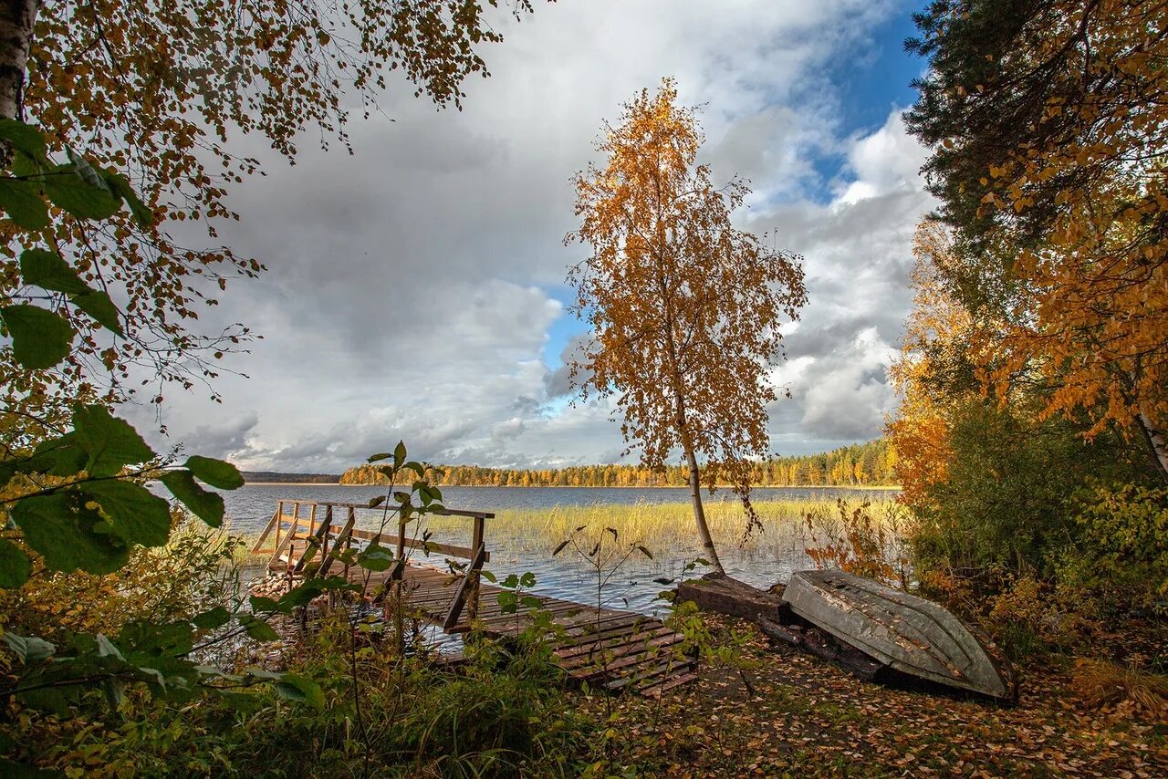 Осенние фототуры по карелии. Карелия конец ноябрь природа. Осень в карелии хороша. Сегозеро осень. Ладожские шхеры осенью.