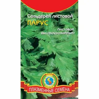 Сельдерей парус листовой