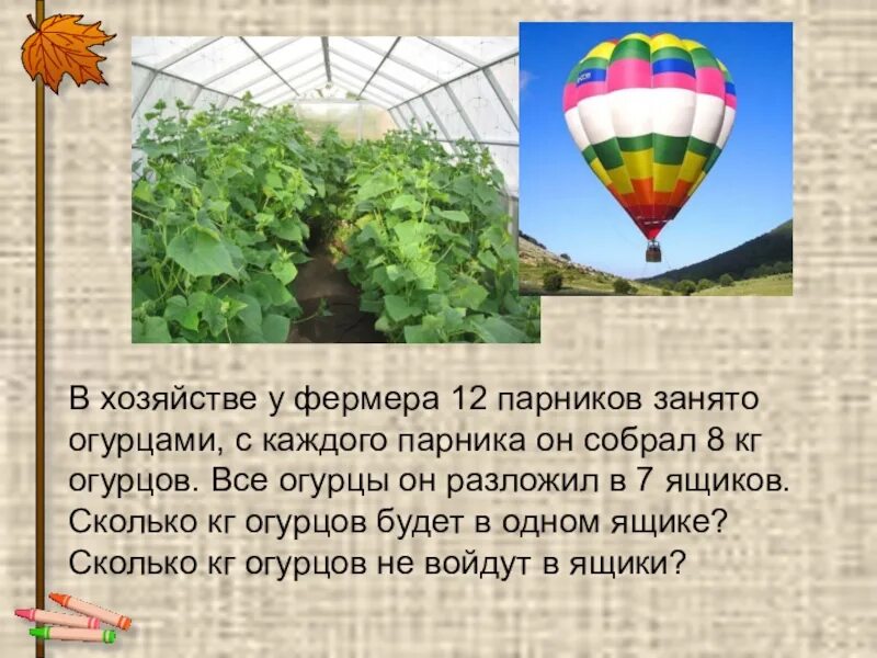 В хозяйстве у фермера 12 парников. У фермера 12 парников занято огурцами. В хозяйстве у фермера 12 парников занято огурцами краткая. Сколько парников занято огурцами.