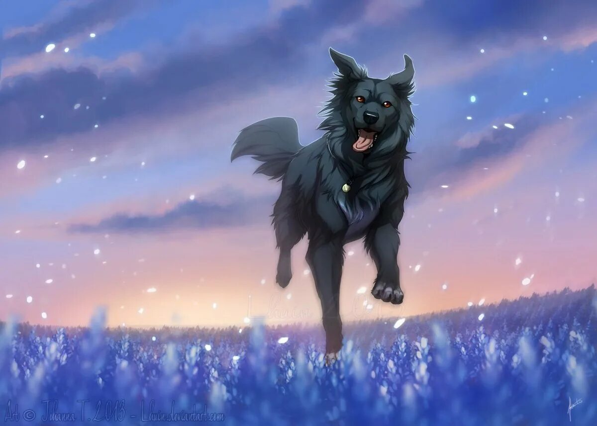 Собака арт. Красивые собаки. Корги пемброк арт. Арты собак. Ярчук пес.