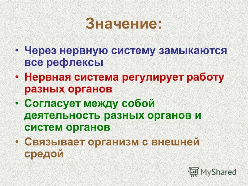 Как нервная система регулирует работу органов биология. Значение нервной системы. Значение нервной системы человека. Значение нервной системы нервная система. 5 Значений нервной системы.