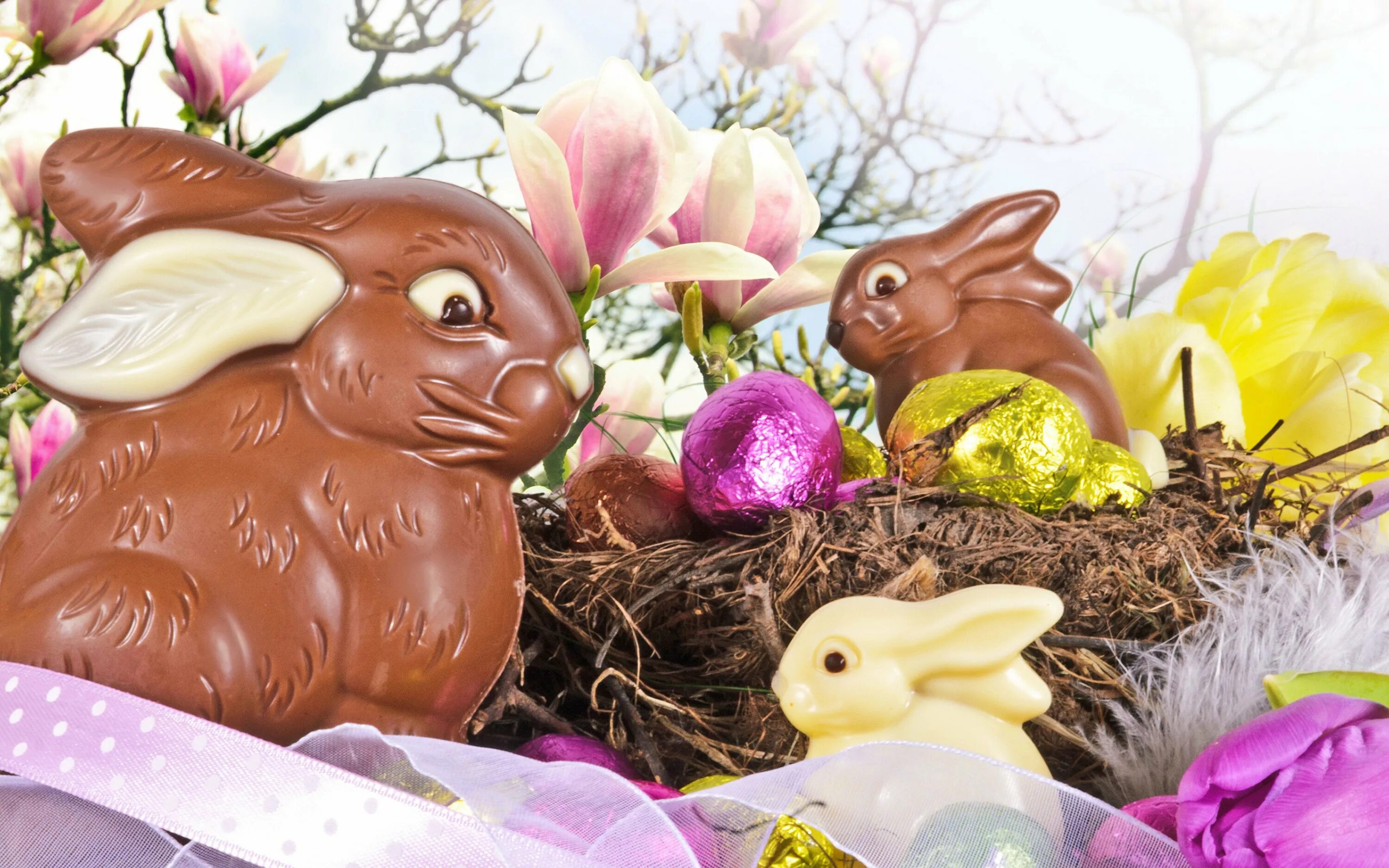 Пасхальный шоколад. Пасхальный шоколадный заяц. Шоколадный Пасхальный кролик. Пасхальный заяц шоколад. Пасха кролик.