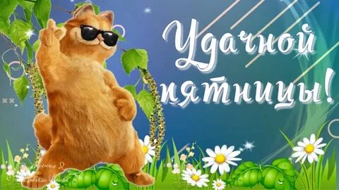Доброе утро пятница прикольные картинки хорошего дня и хорошего