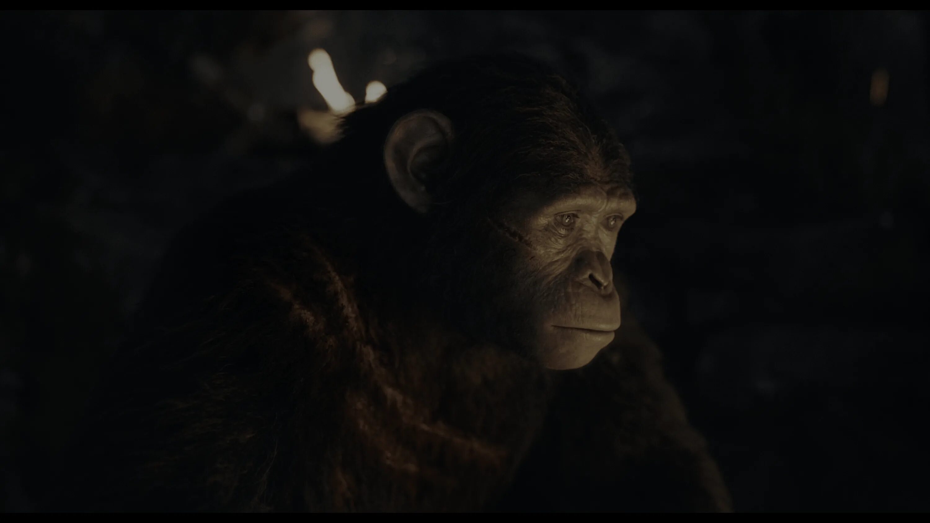 Планета обезьян 2014 качество. Планета обезьян: революция (2014). Планета обезьян: революция (2014) кадры.