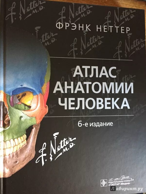 Анатомия Фрэнка Неттера. Фрэнк Неттер атлас анатомии человека 6 издание. Анатомический атлас Фрэнк Неттер. Фрэнк неттер атлас