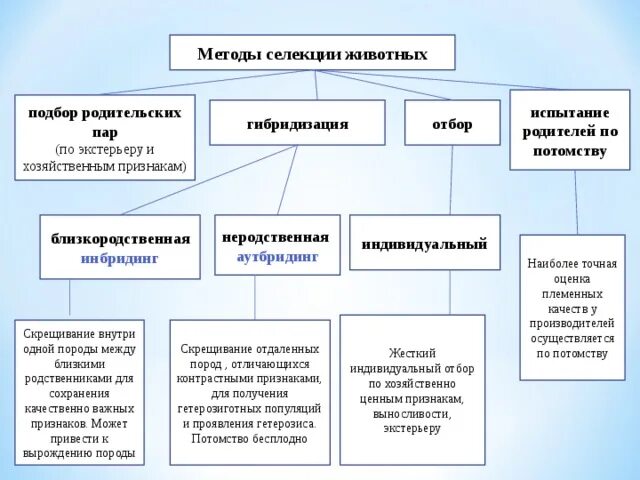 Методы селекции животных схема. Метод гибридизации селекция животных. Методы селекции схема 9 класс биология. Таблица по биологии методы селекции 9 класс. Описание методов селекции растений