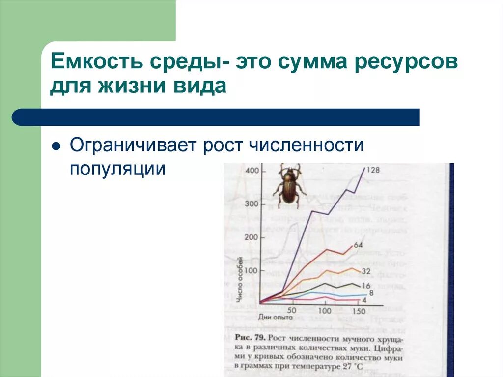 Какое значение популяции имеет емкость среды. Емкость среды популяции. Ёмкость среды это в экологии. Емкость среды примеры. Функционирование популяции и динамика её численности в природе..